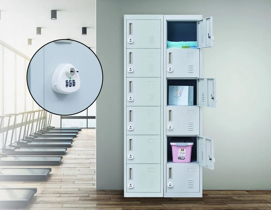 Durable Steel 6-Door Locker with Combo Lock for Office and Gym