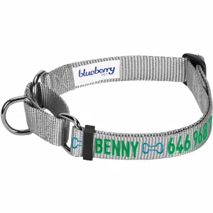 Nylon Personalized Martingale Safety Training Dog Collar Black for Puppy Boy Girl Dog