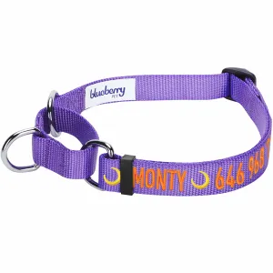 Nylon Personalized Martingale Safety Training Purple Dog Collar for Puppy Girl Dog