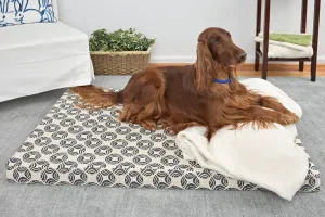 Organic Cotton Dog BED Cover, Picasso Denim