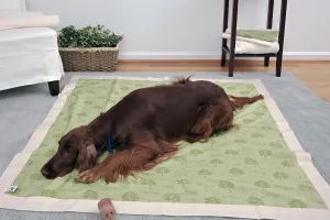 Organic Cotton Dog Coverlet, Sage