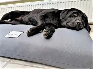 Orthopaedic Dog Beds