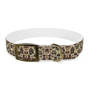 Shiver Me Timbers Dog Collar