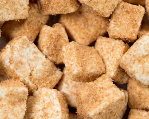 Toasted Coconut Marshmallows