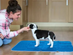 Washable Puppy Pads